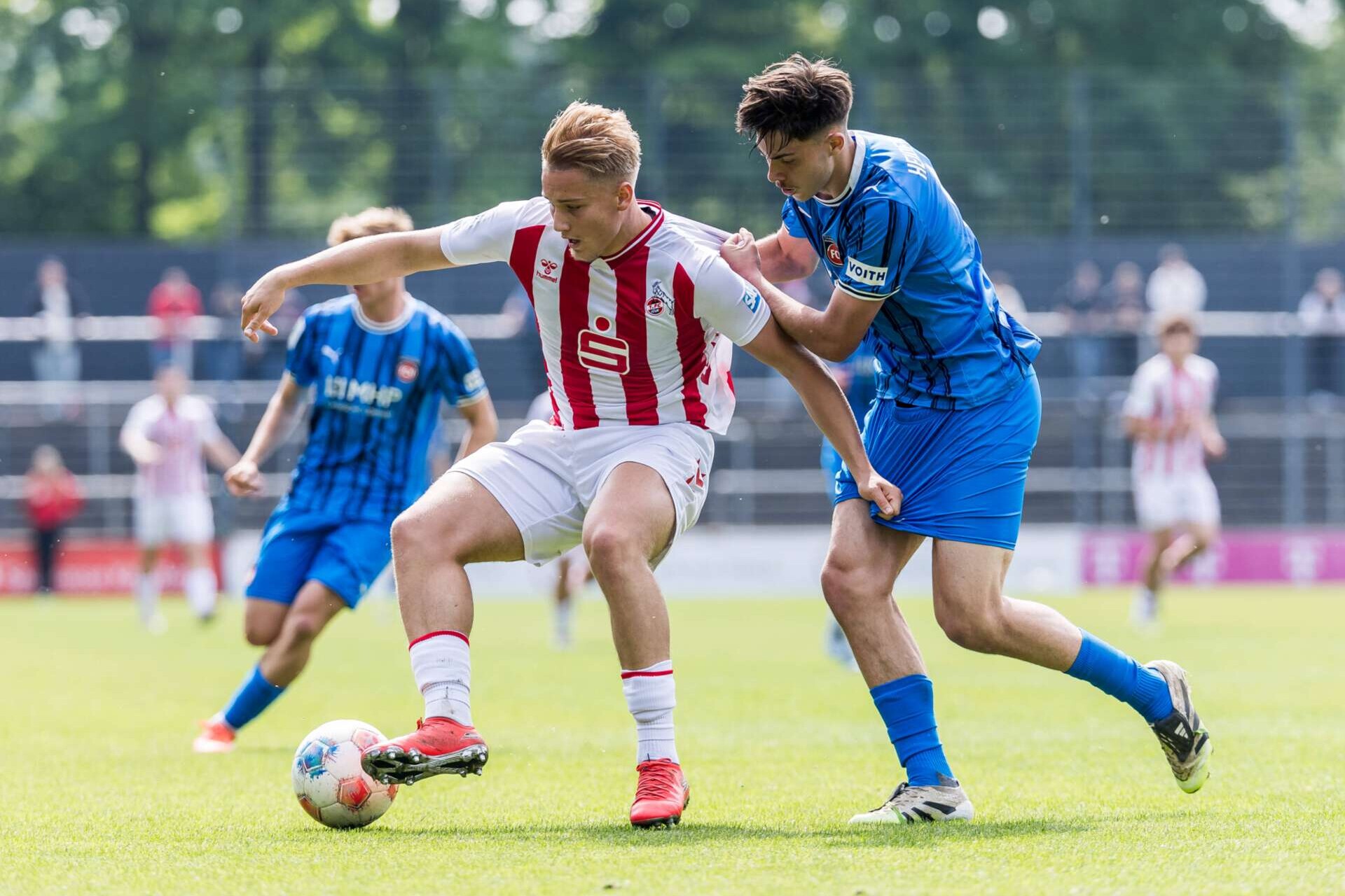 Der Kölner Fynn Schenten im Zweikampf mit Tim Radöhl während des U 19 DFB-Nachwuchsliga Viertelfinalspiels zwischen dem 1. FC Köln und dem 1. FC Heidenheim 1846, 10.05.2026