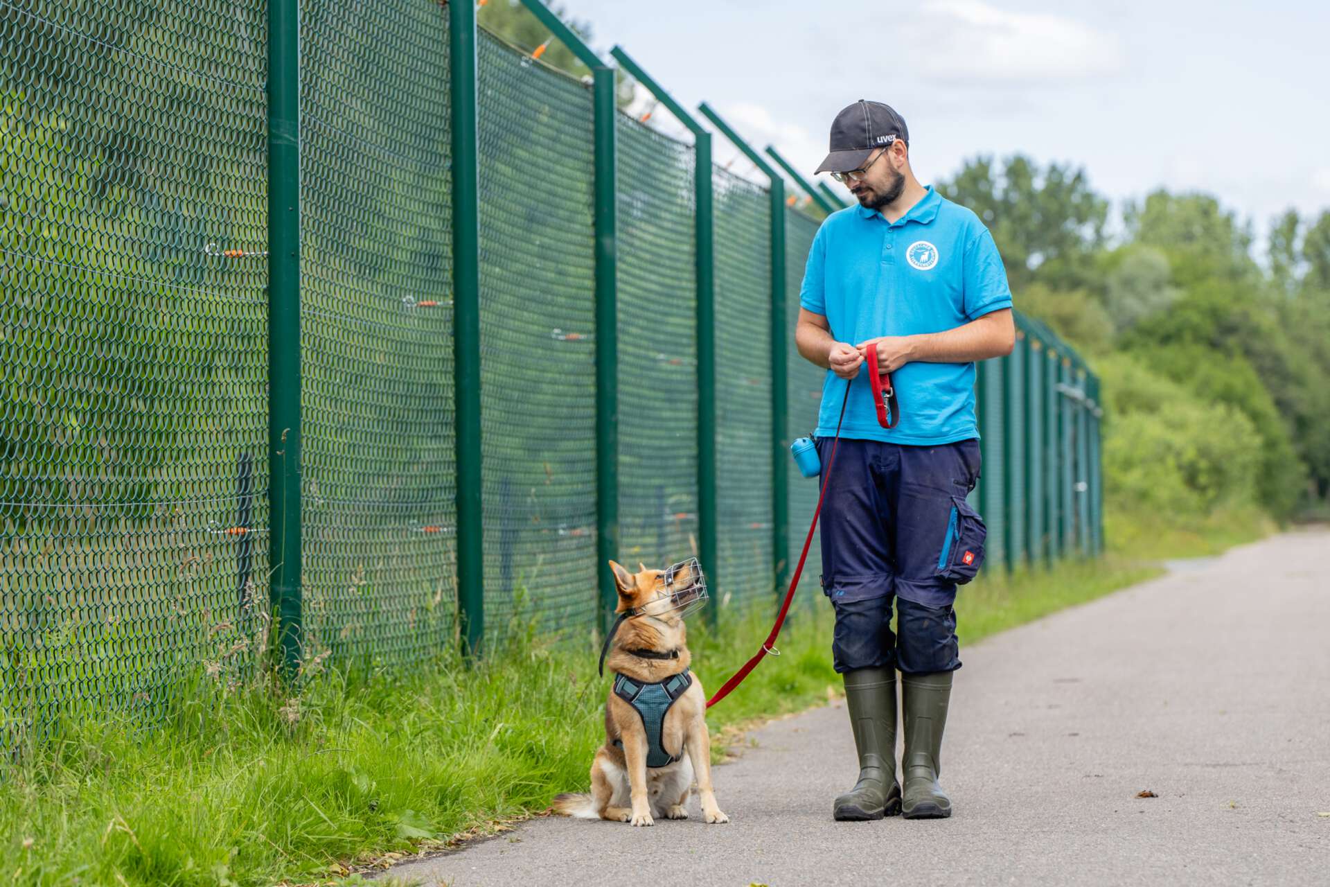 Hund mit Maulkorb und Leine sitzt und schaut zu Tierheimmitarbeiter hoch. Beide sind beim Spaziergang im Grünen.