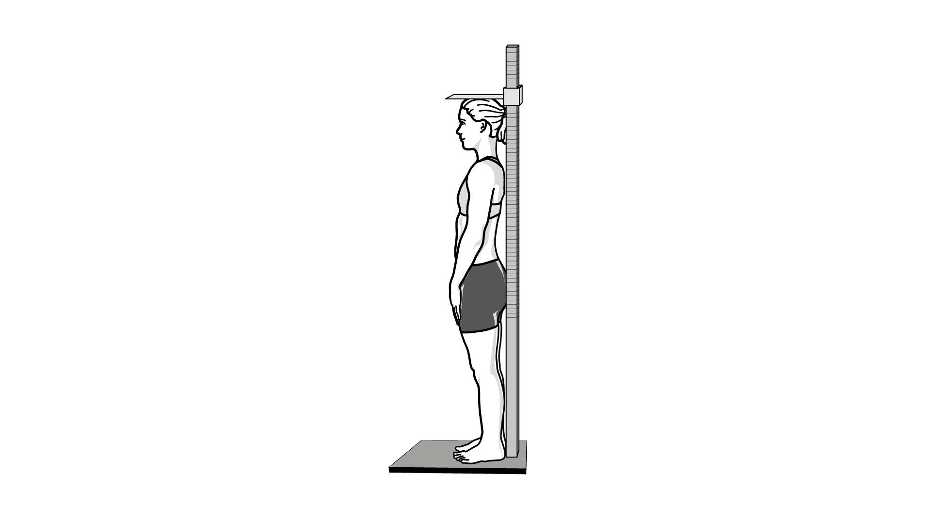 Illustration zur Messung der Körperhöhe stehend
