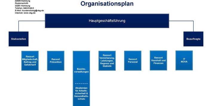Organisationsplan der VBG