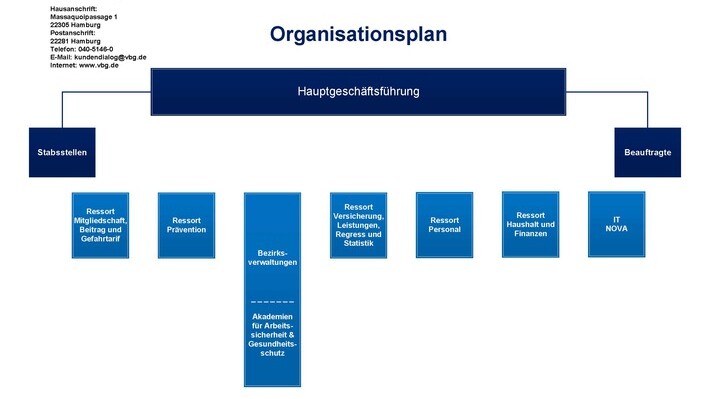 Organisationsplan der VBG
