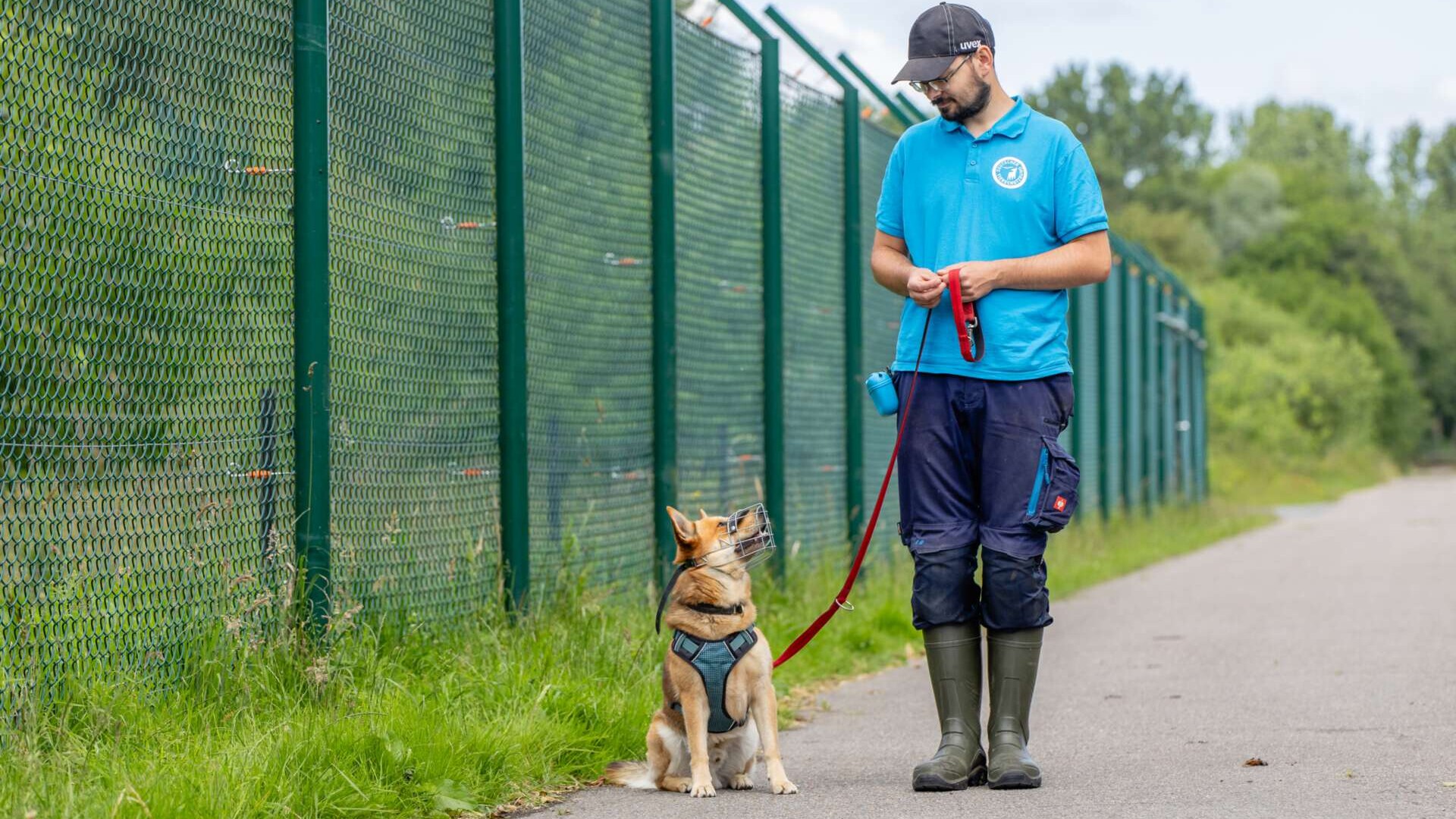 Hund mit Maulkorb und Leine sitzt und schaut zu Tierheimmitarbeiter hoch. Beide sind beim Spaziergang im Grünen.
