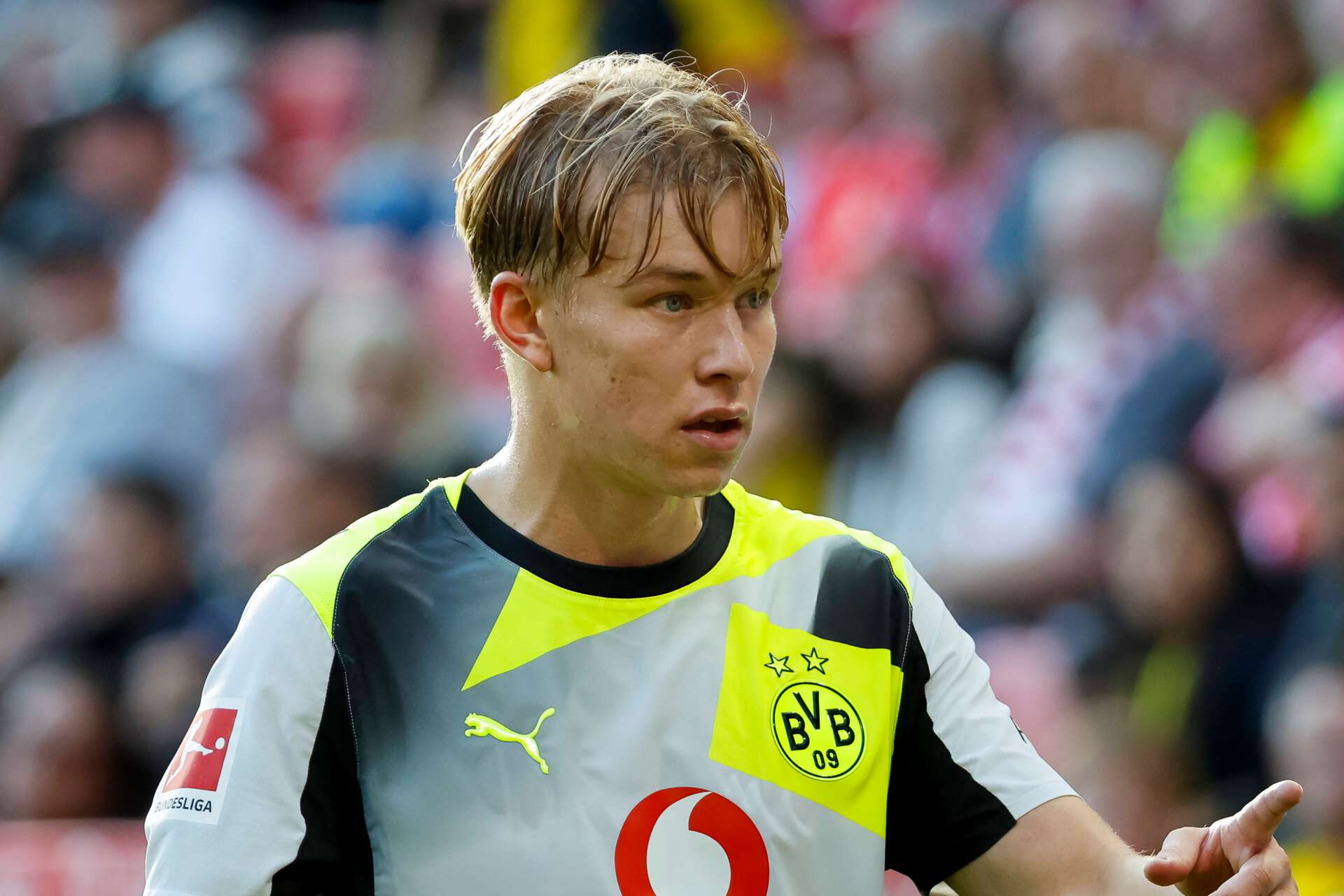 Dortmunds Youngster Daniel Svensson während eines Bundesliga-Spiels gegen den 1. FSV Mainz 05, 27.09.2025