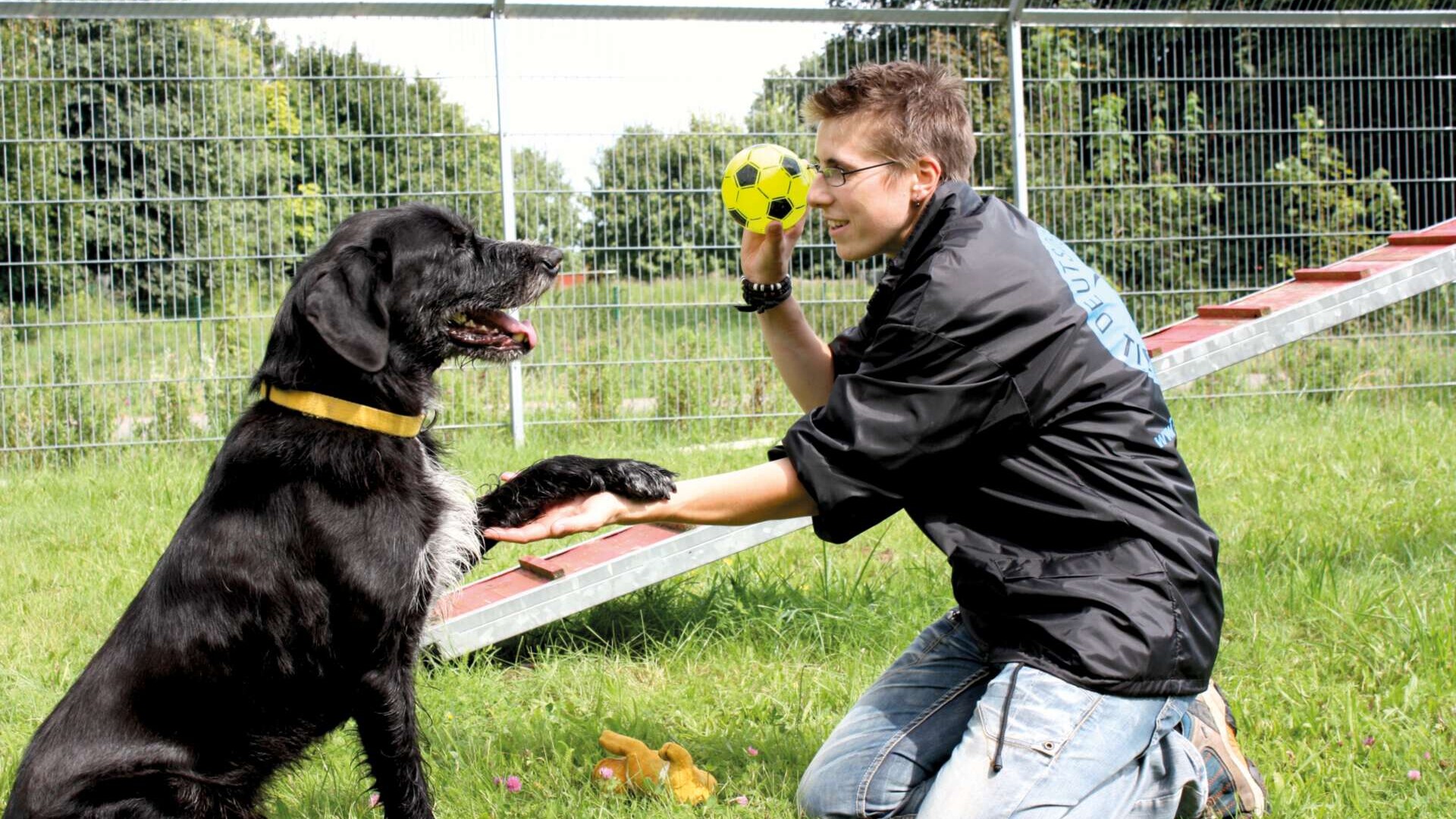 Tiertrainer mit Hund