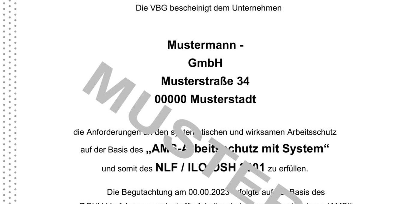 AMS-Urkunde Musterbescheinigung, AMS Arbeitsschutz mit System, Begutachtung