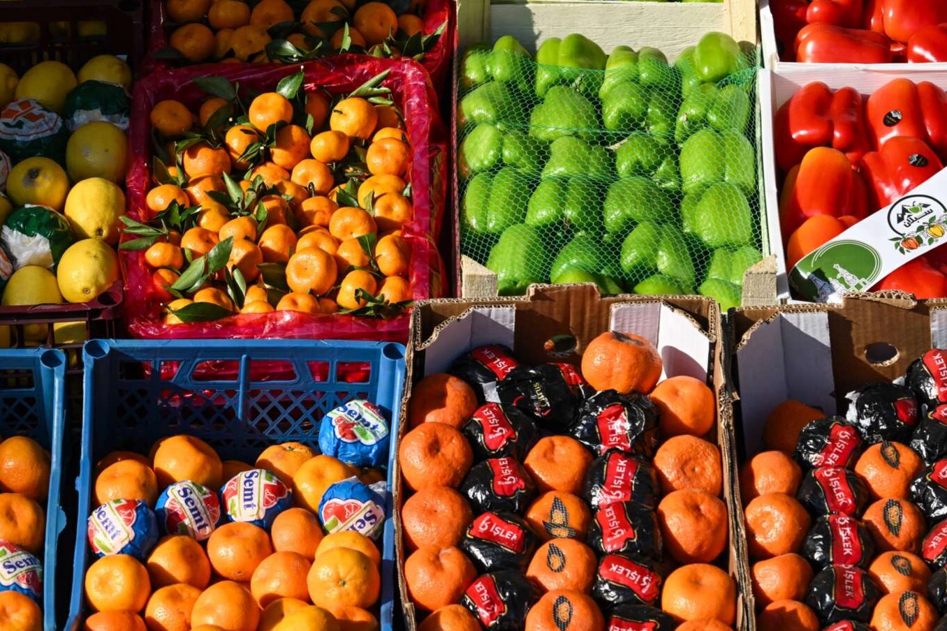Gemüse und Obst sind wichtige Bestandteile der Ernährung von Leistungssportlern