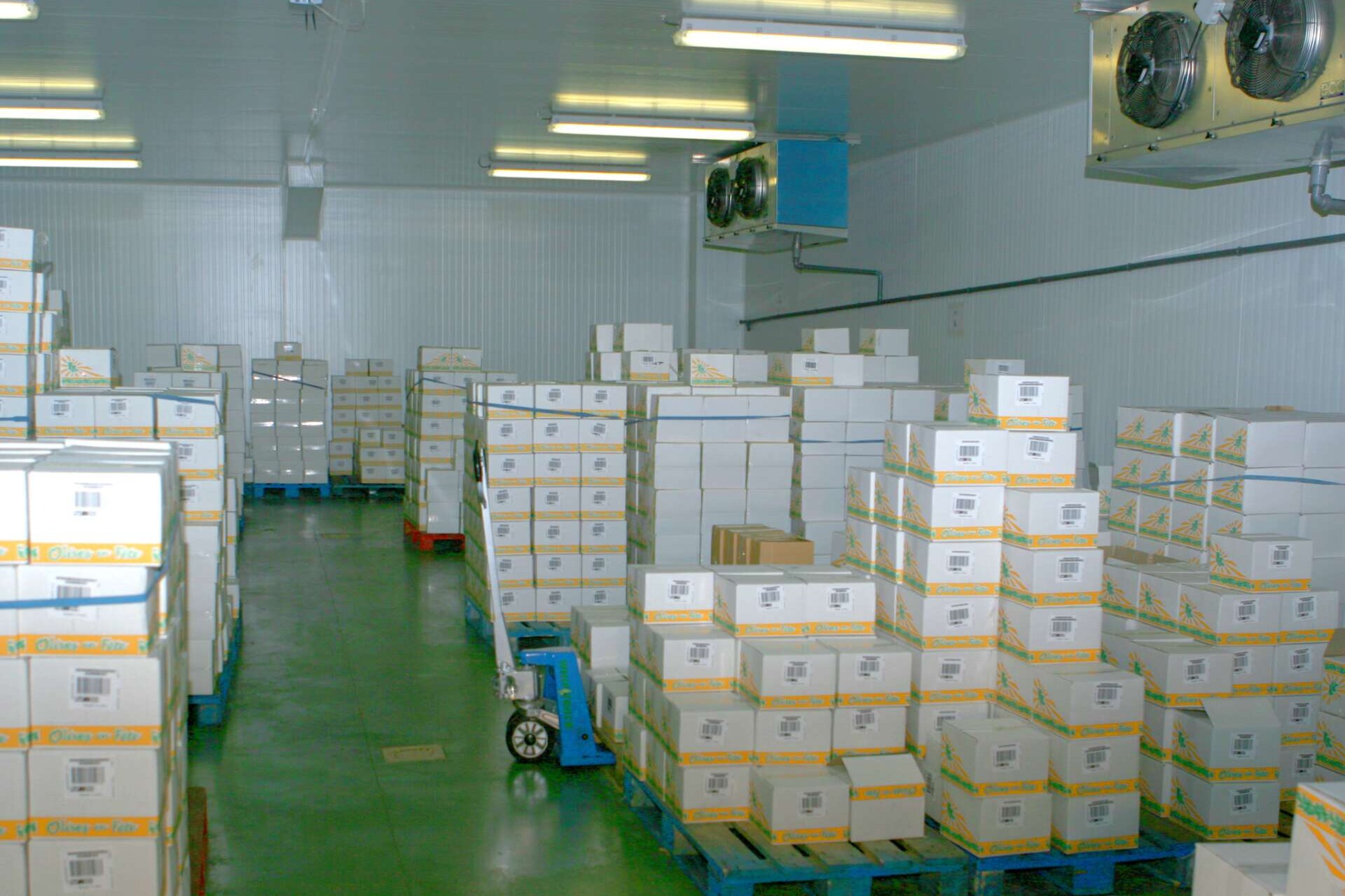 Blick in einen Kühlraum mit gestapelter gekühlter Ware in Kartons