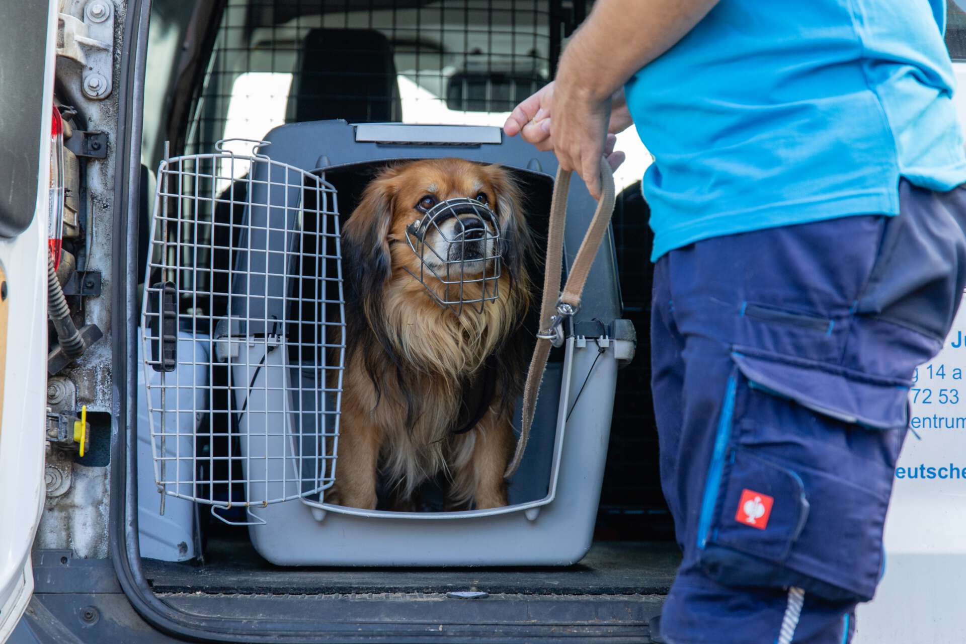 Hund in Transportkiste mit Maulkorb wird von Tierheimbeschäftigten an der Leine aus der Transportkiste geführt.