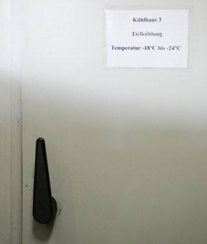 Kühlhaustür